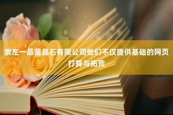 崇左一品蓝晶石有限公司他们不仅提供基础的网页打算与拓荒